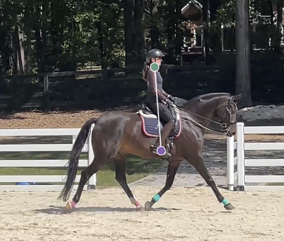 Rider at the trot on a bay horse, filmed side-on, with the tracked head and foot points joined by a balance line